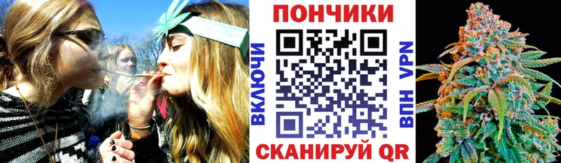 Конопля Amnesia  купить наркотики цена  Грайворон 